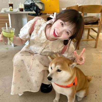 百鸟争春
